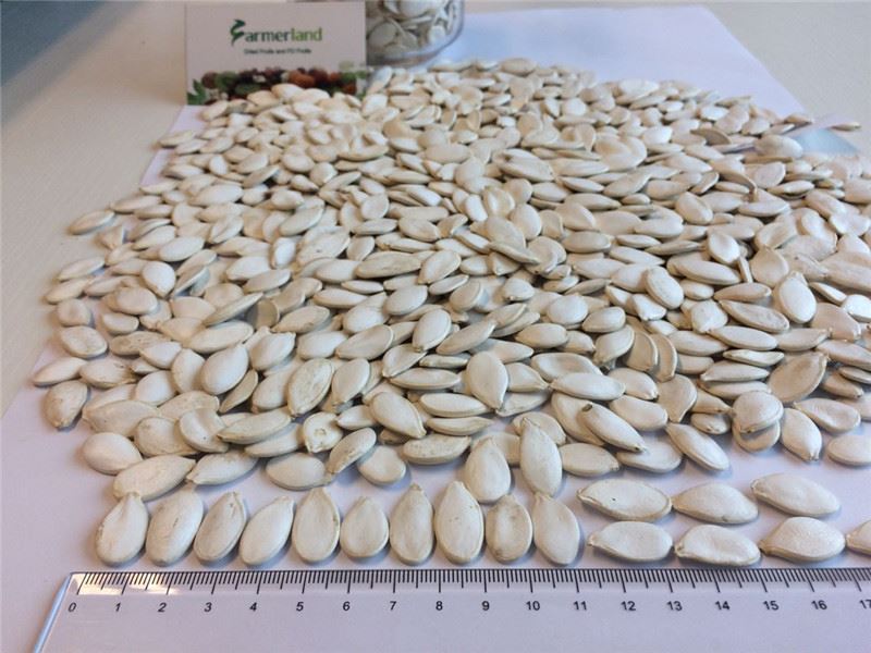 White Pumpkin Seeds