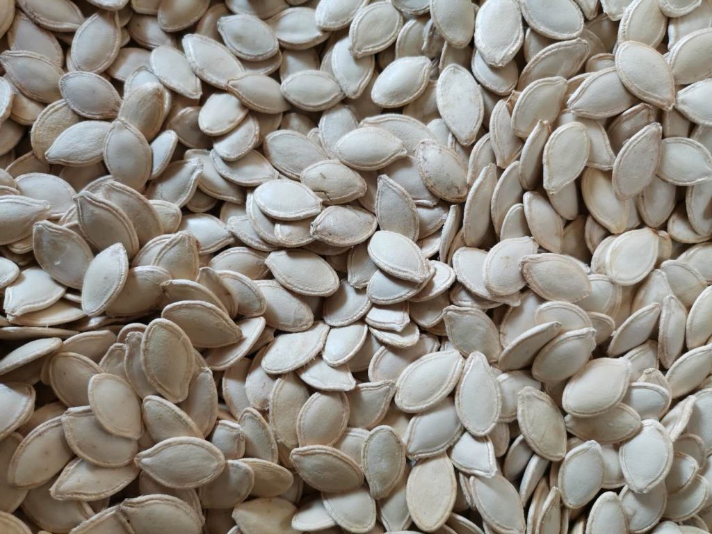 Shine Skin Pumpkin Seeds