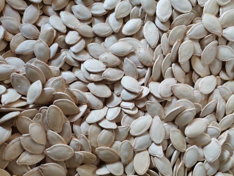 shine-skin-pumpkin-seeds