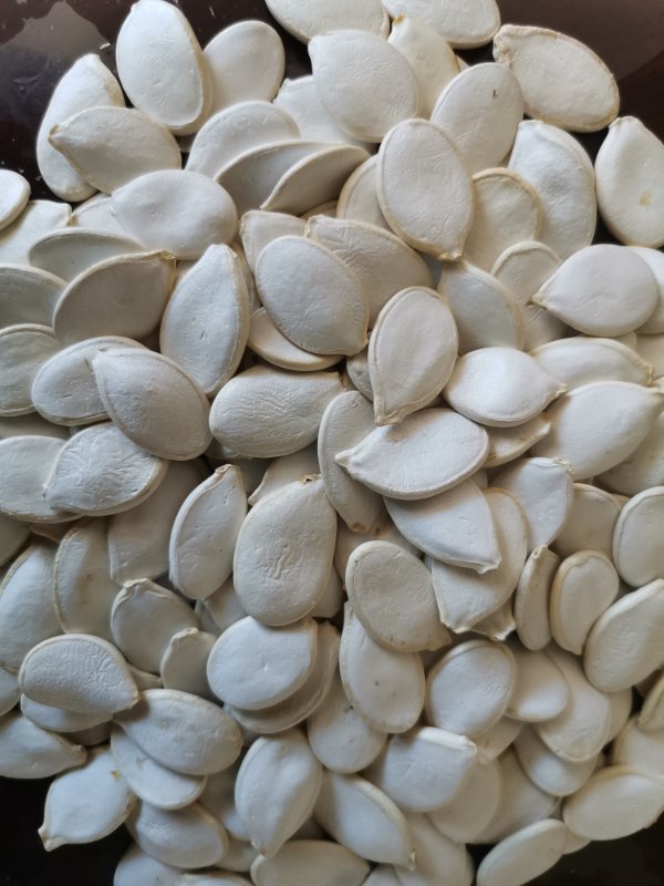 snow-white-pumpkin-seeds